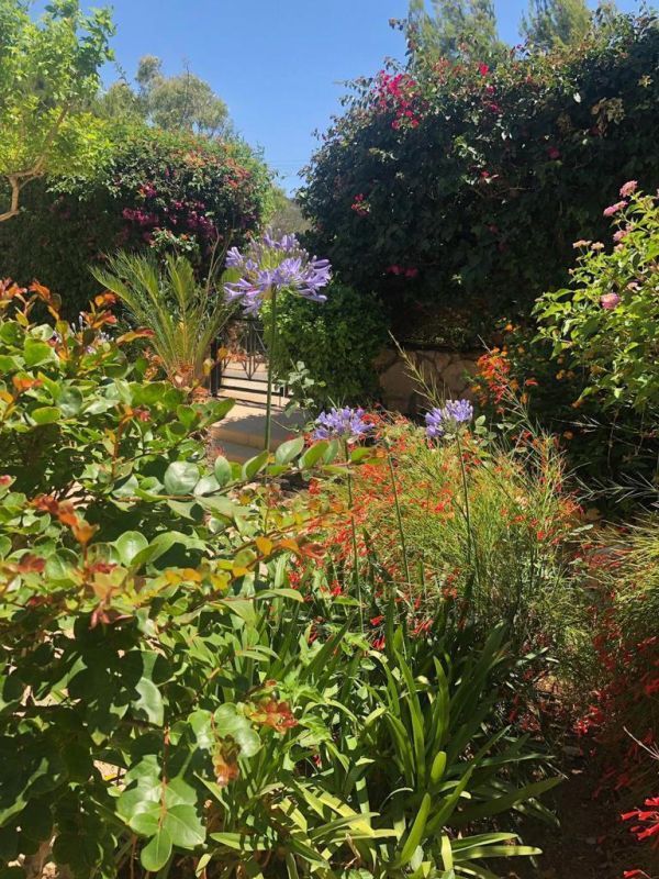 Villa à Polis, Chypre, 170 m² - image 10