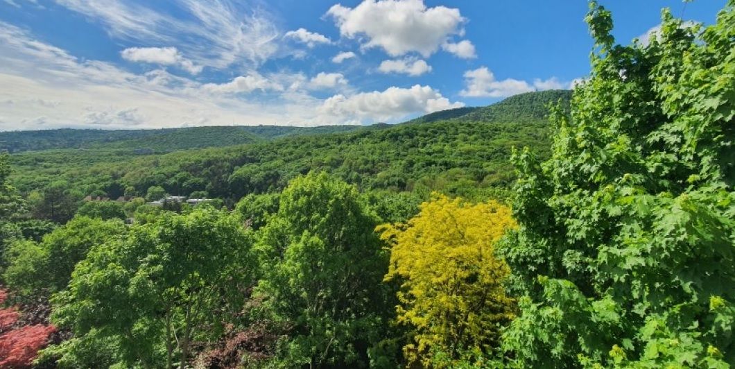 Villa en Budapest, Hungría, 273 m² - imagen 18