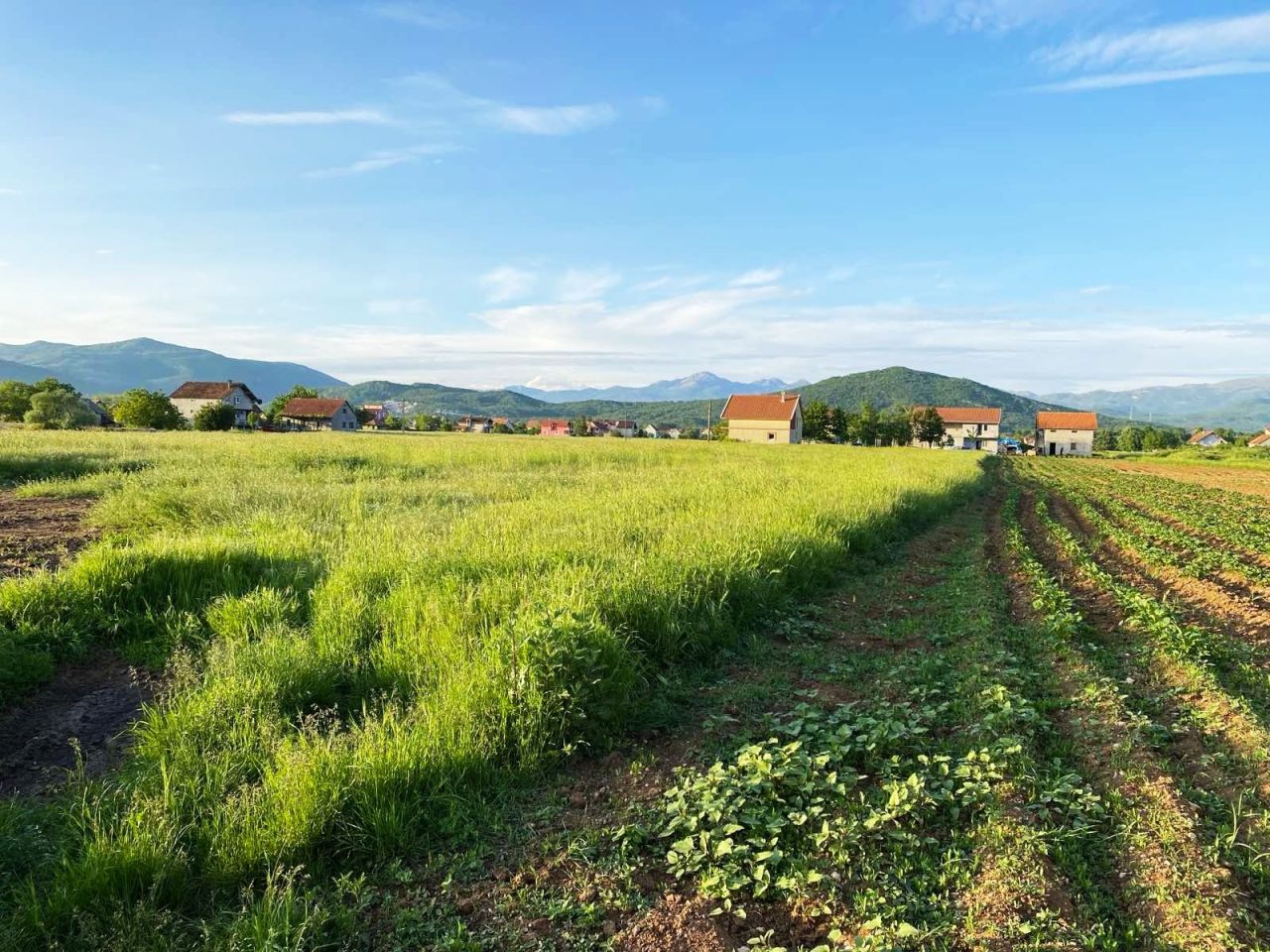 Grundstück in Niksic, Montenegro, 3 001 m² - Foto 2