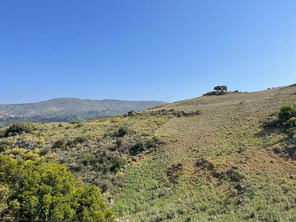 Terrain à Réthymnon, Grèce, 35 000 m² - image 1