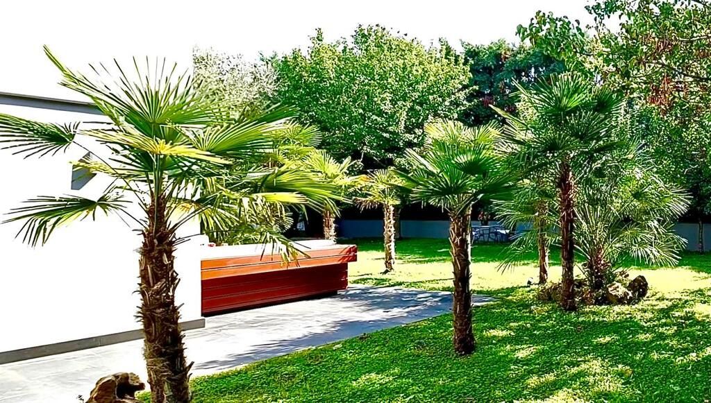 Villa in Thessaloniki, Greece, 785 m² - picture 8