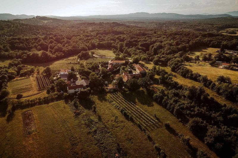 House in Sezana, Slovenia, 751 m² - picture 2