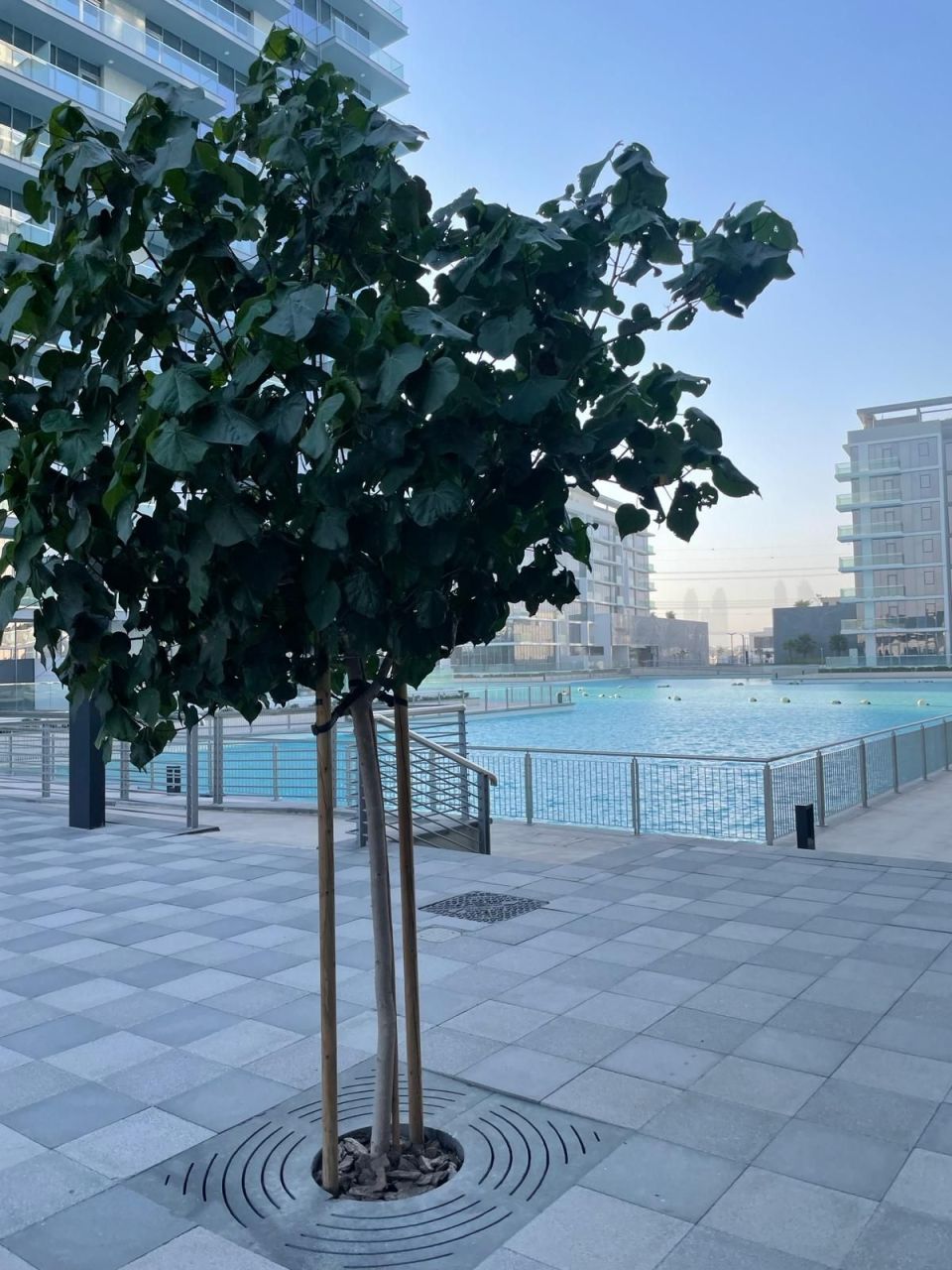 Appartamento a Dubai, EAU, 67 m² - foto 13