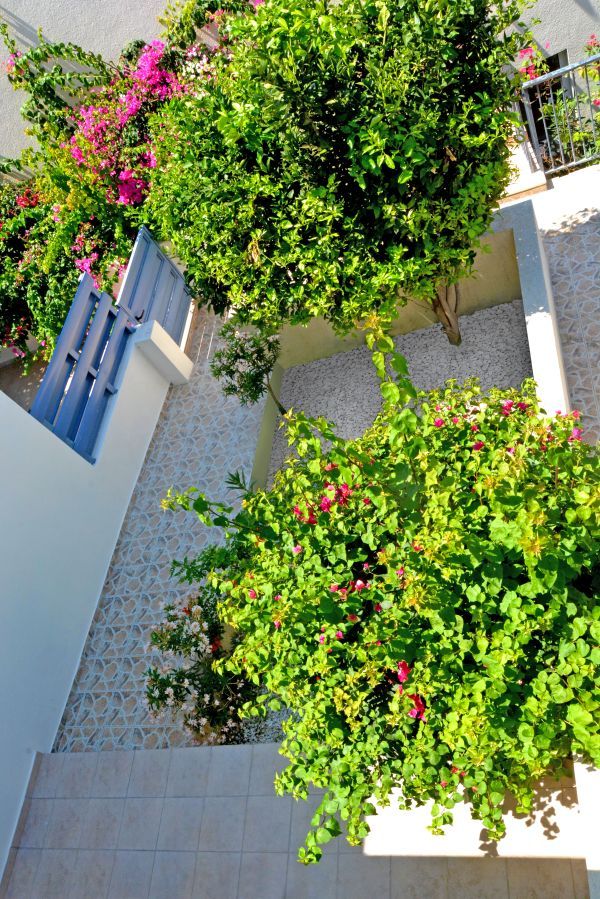 Stadthaus in Paphos, Zypern, 90 m² - Foto 10