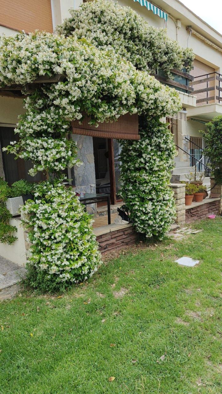 Apartment in Creixell, Spain, 62 m² - picture 4