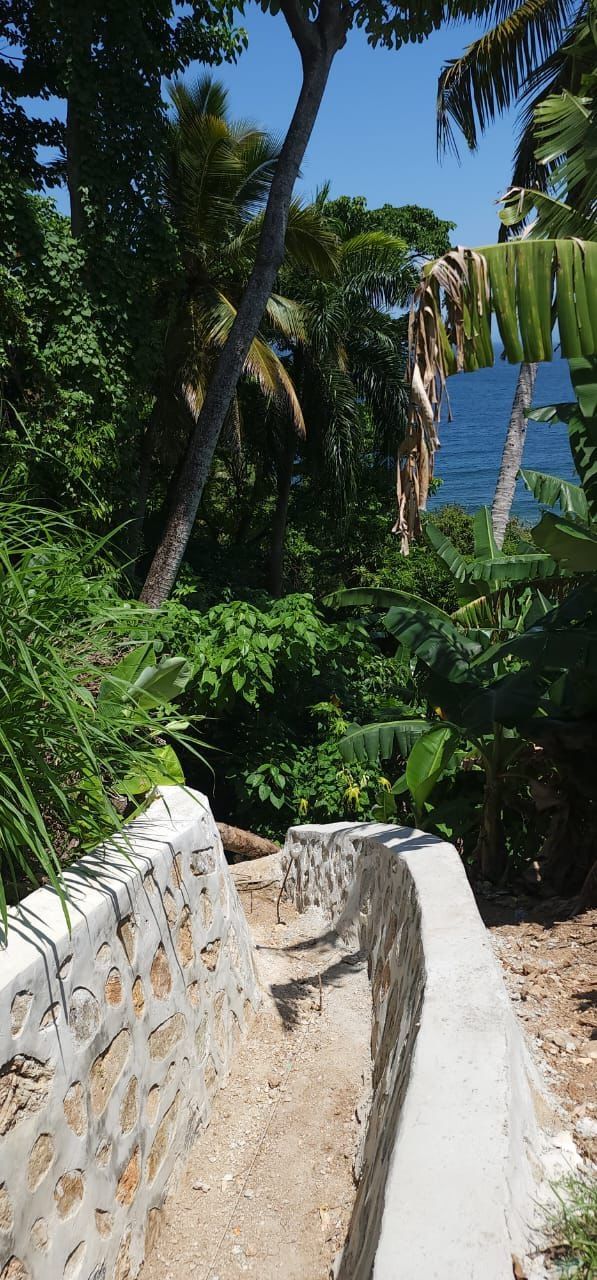 Land in Samana, Dominican Republic, 898 m² - picture 2