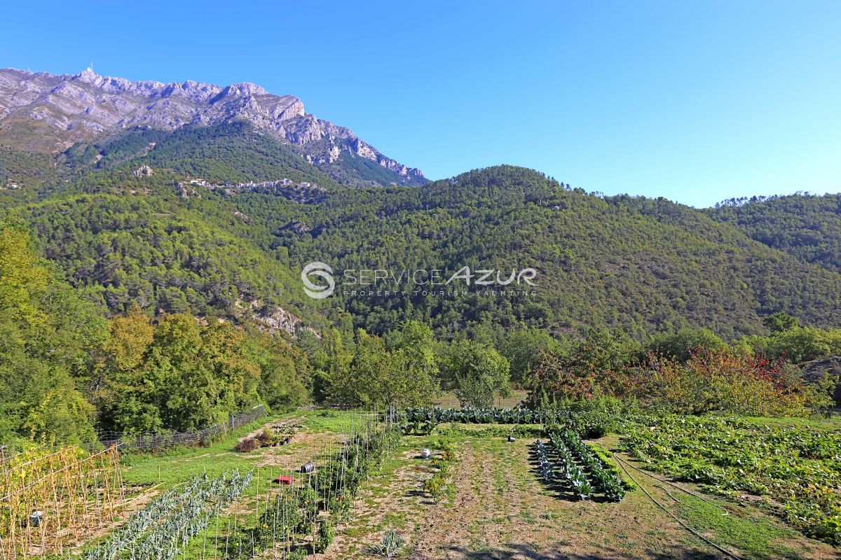 Villa in Nizza, Frankreich, 1 000 m² - Foto 6