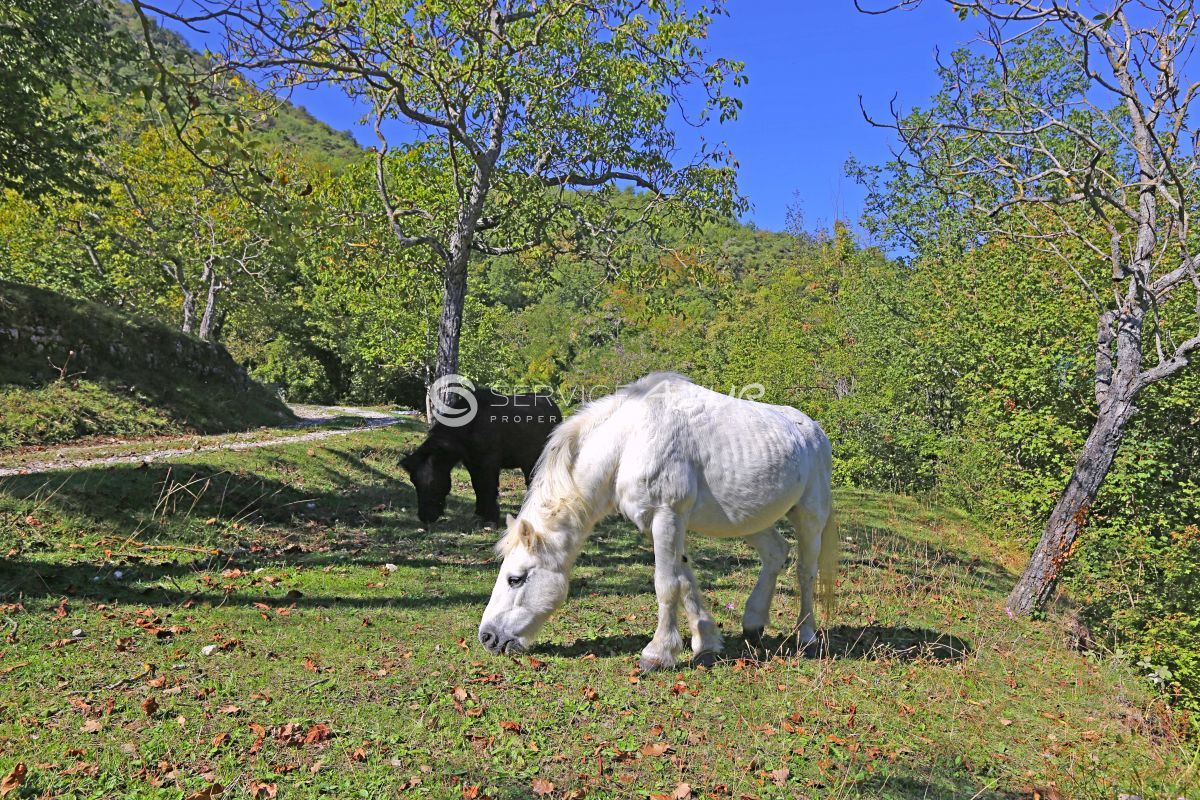 Villa in Nizza, Frankreich, 1 000 m² - Foto 13