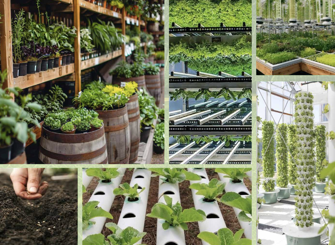 Villa a Dubai, EAU, 316 m² - foto 7