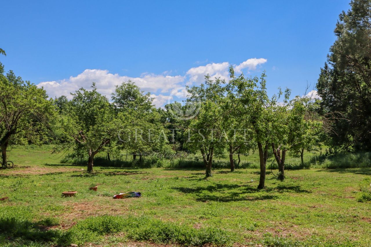 Castello Avigliano Umbro, Italia, 1 720 m² - foto 15