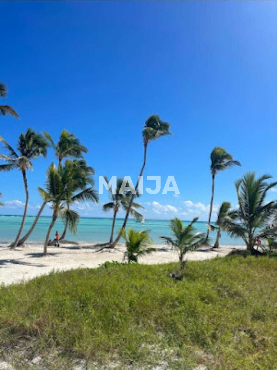 Land in Cap Cana, Dominican Republic, 7 155.75 m² - picture 1