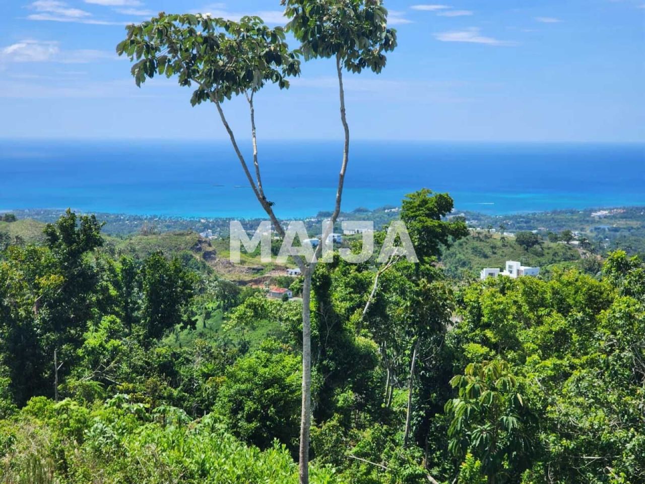 Land in Las Terrenas, Dominican Republic, 3 341.1 m² - picture 1