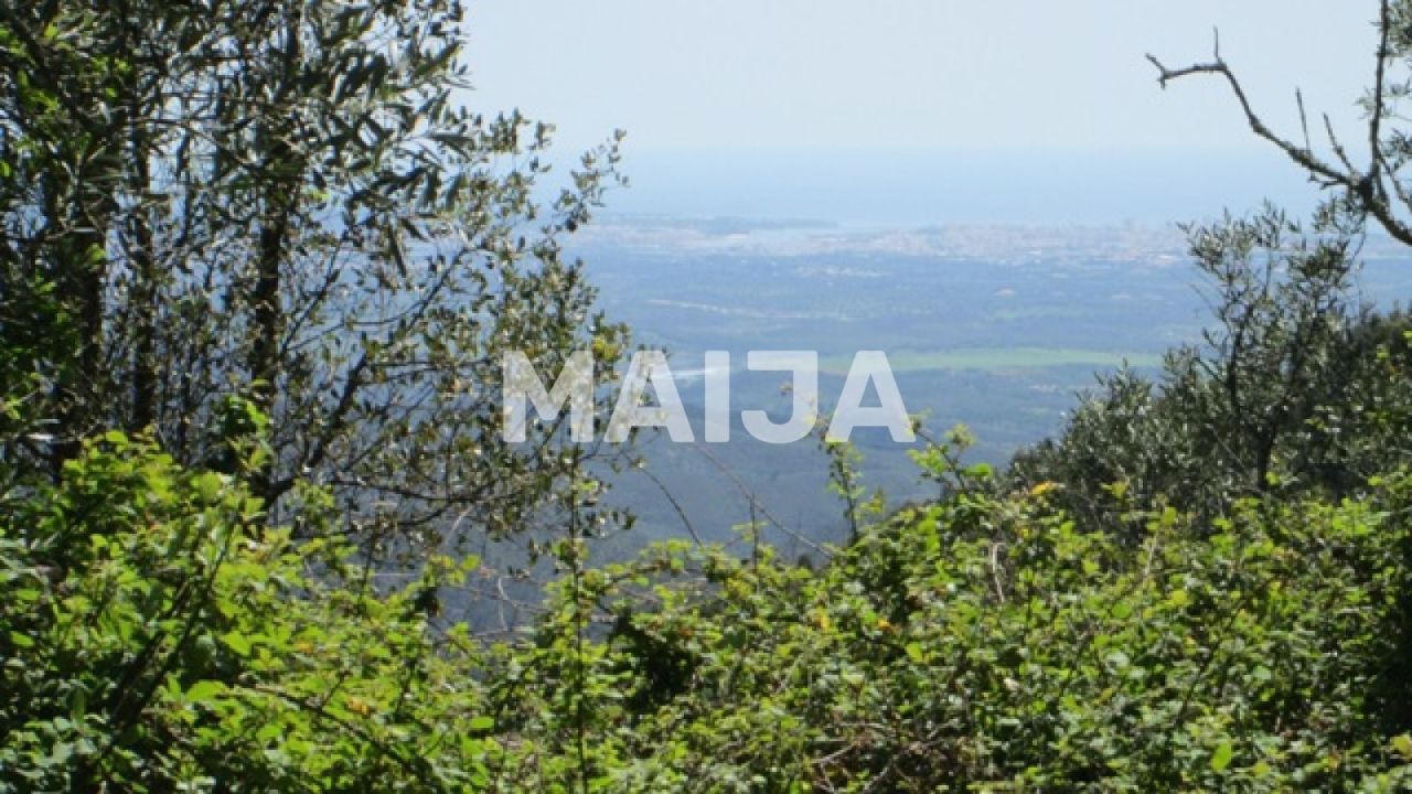 Terrain Açor, Portugal, 16 440 m² - image 1