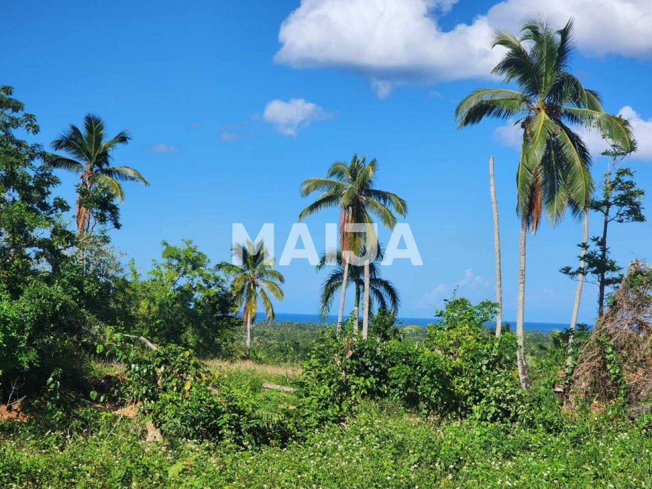 Land in Las Terrenas, Dominican Republic, 2 415 m² - picture 1