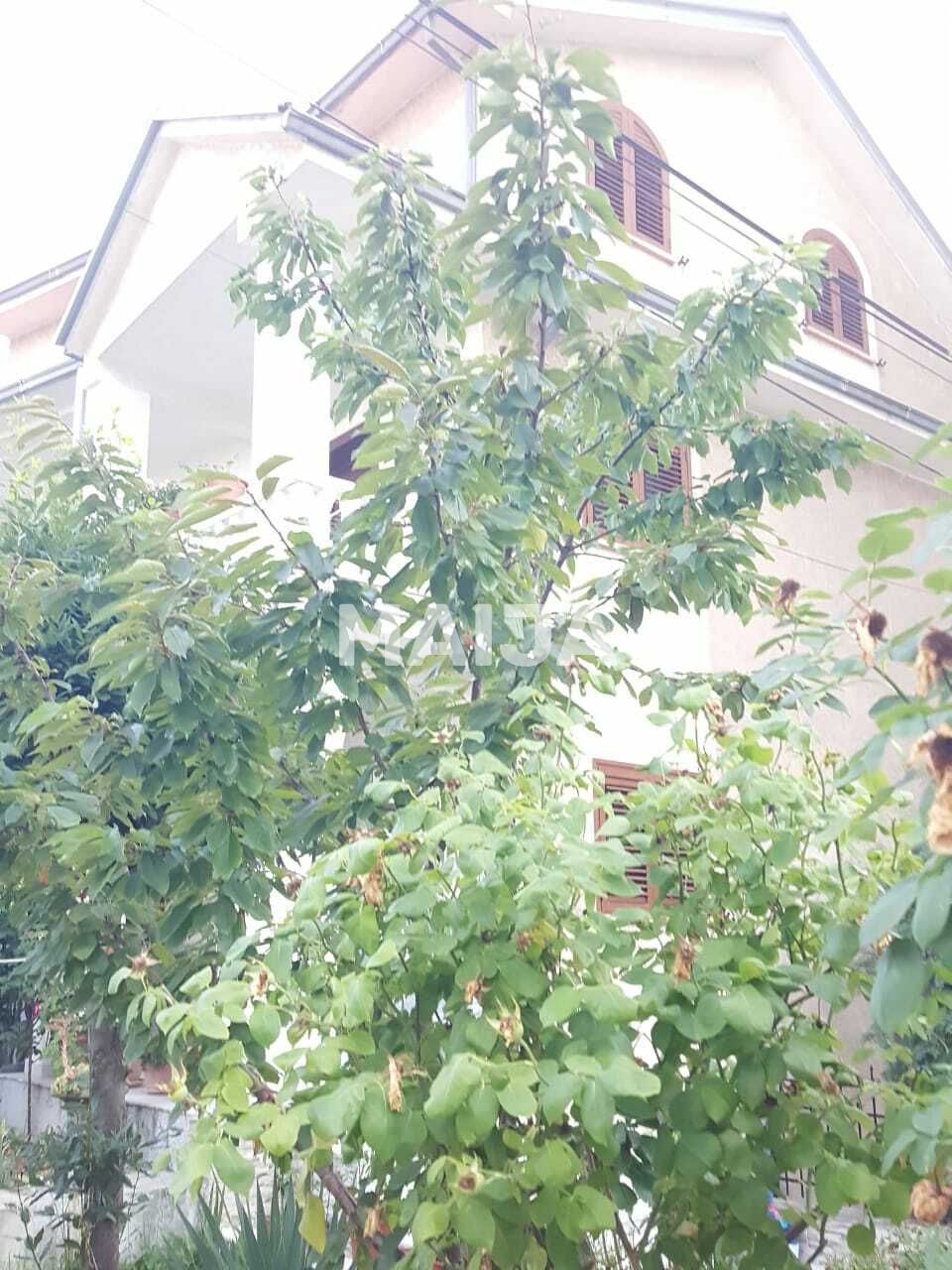 Maison Pogradets, Albanie, 330 m² - image 2