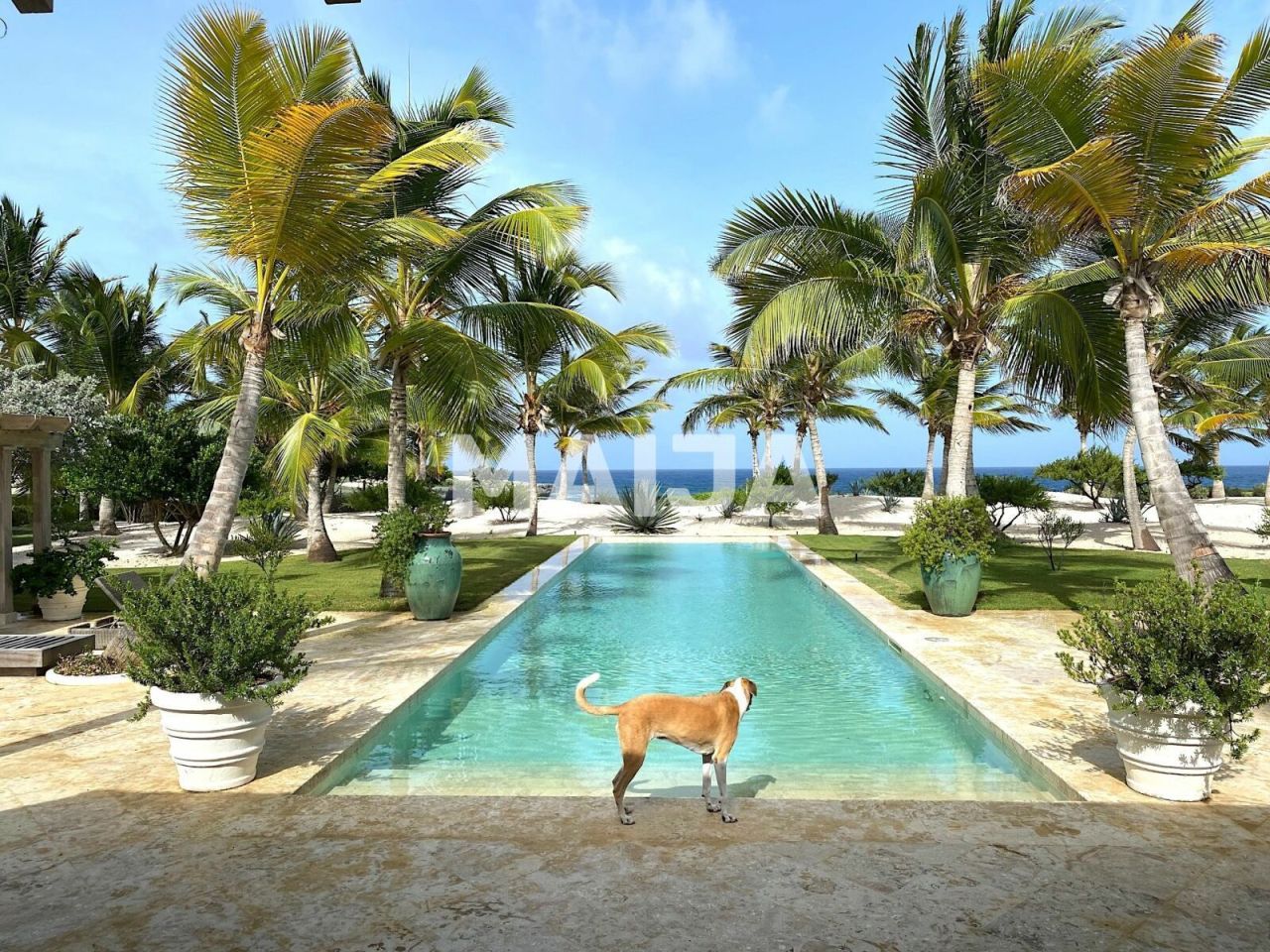 Villa in Punta Cana, Dominikanische Republik, 1 110 m² - Foto 3