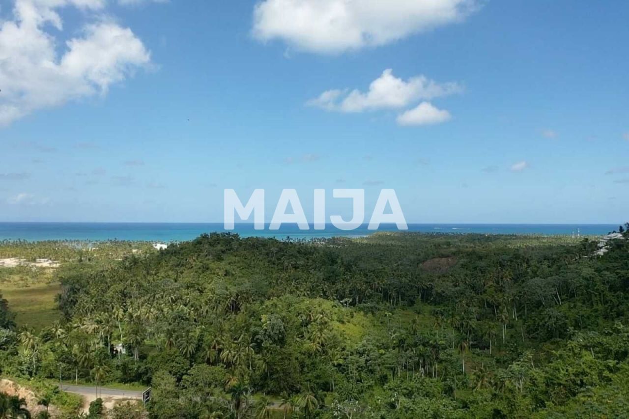 Terrain à Las Terrenas, République dominicaine, 10 000 m² - image 3