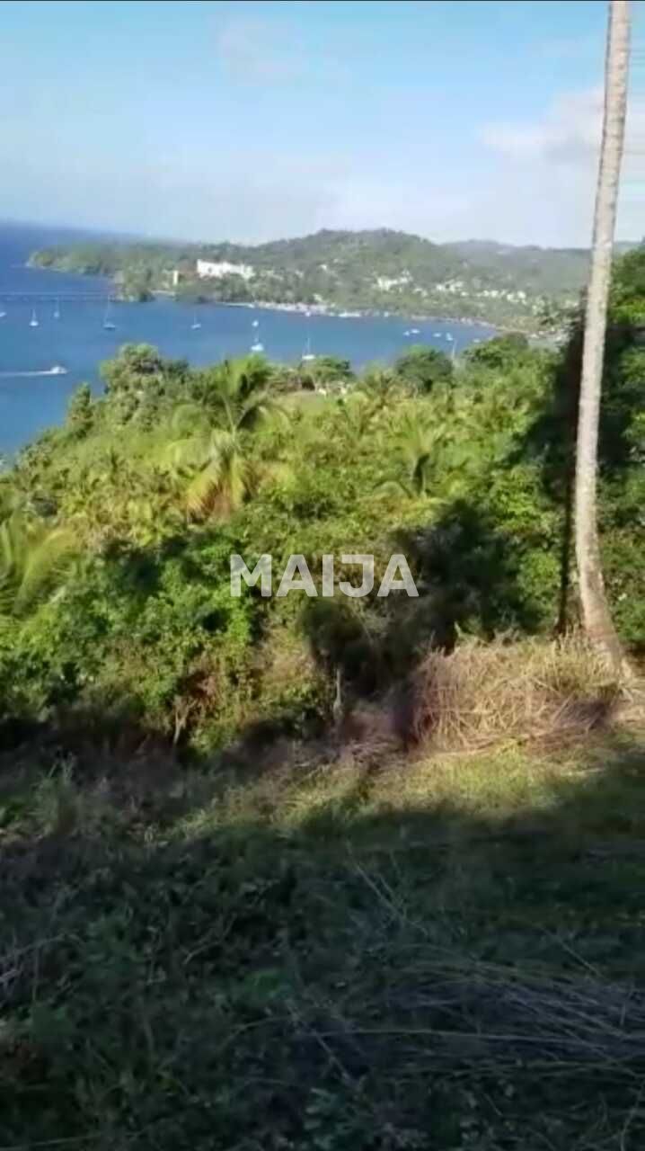 Terreno en Samaná, República Dominicana, 7 993 m² - imagen 3