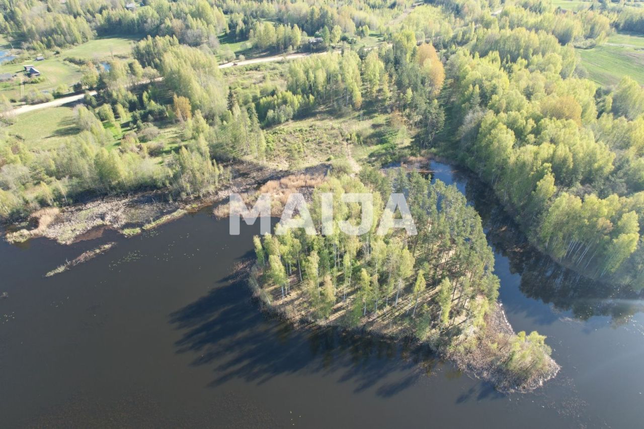 Land Jevtisovka, Latvia, 40 120 m² - picture 3