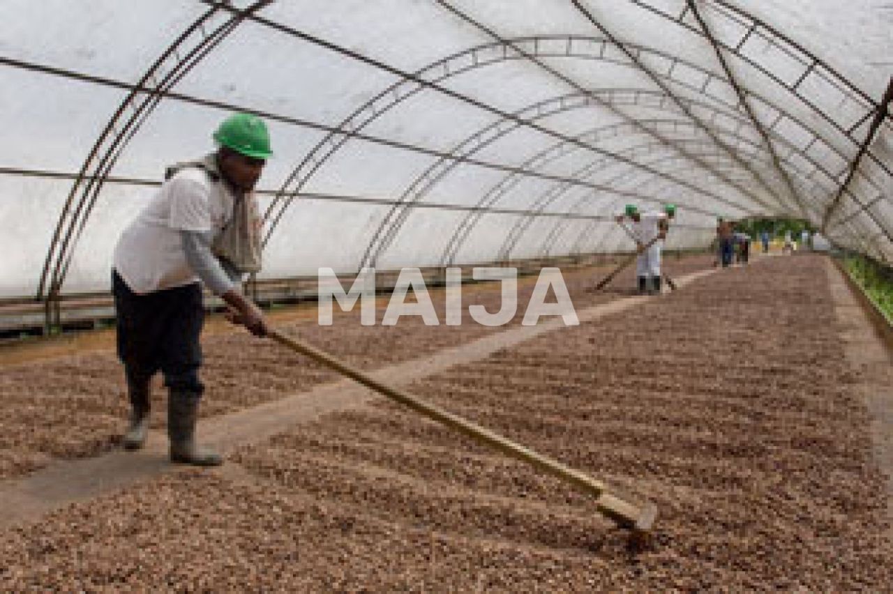 Industrial en Gaspar Hernández, República Dominicana, 4 340 000 m² - imagen 4