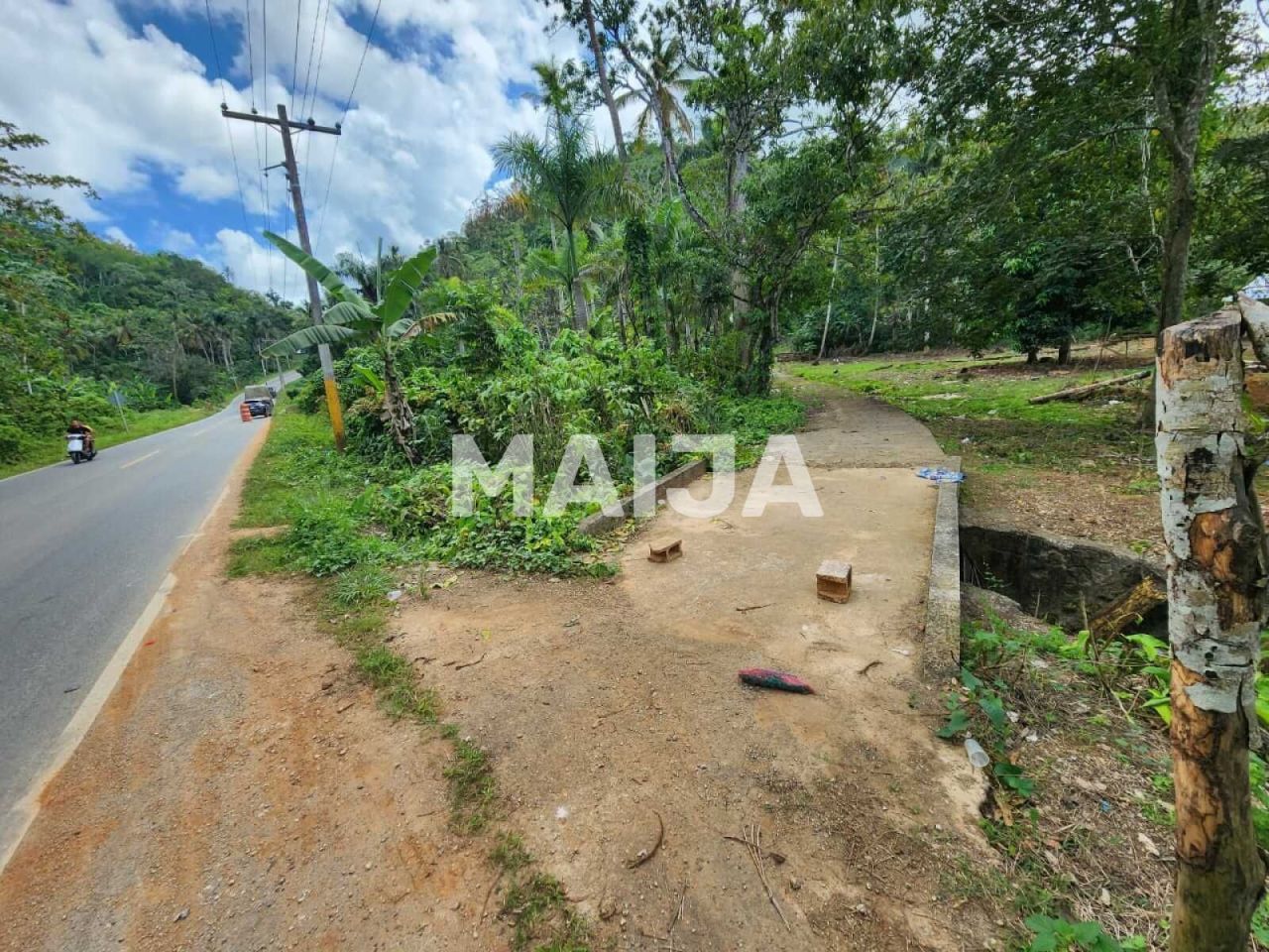 Terrain à Las Terrenas, République dominicaine, 10 000 m² - image 4