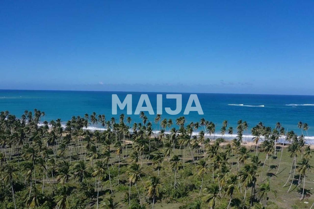 Land El Cedro, Dominican Republic, 5 630 m² - picture 4