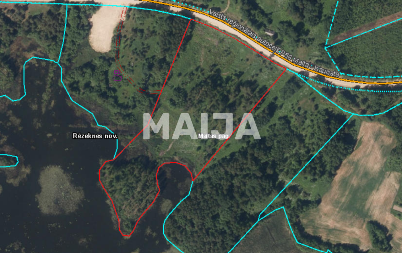 Land Jevtisovka, Latvia, 40 120 m² - picture 4