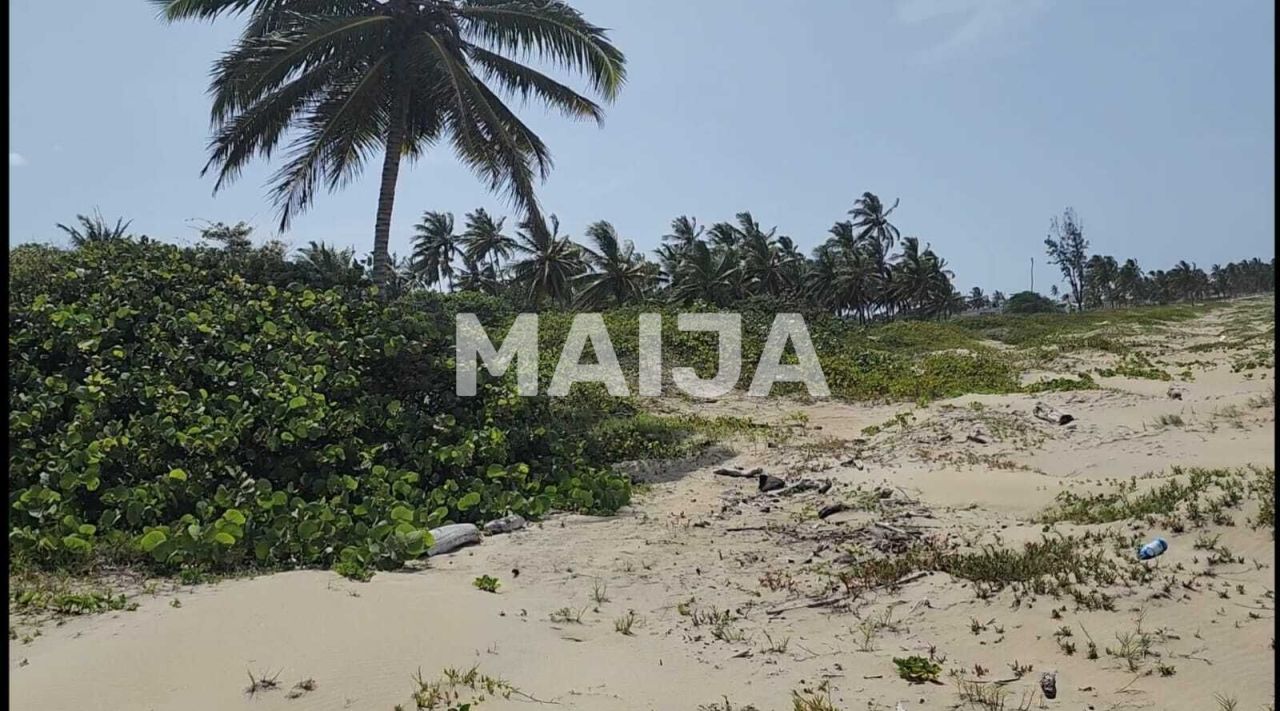 Land in Cabarete, Dominican Republic, 8 069 m² - picture 4