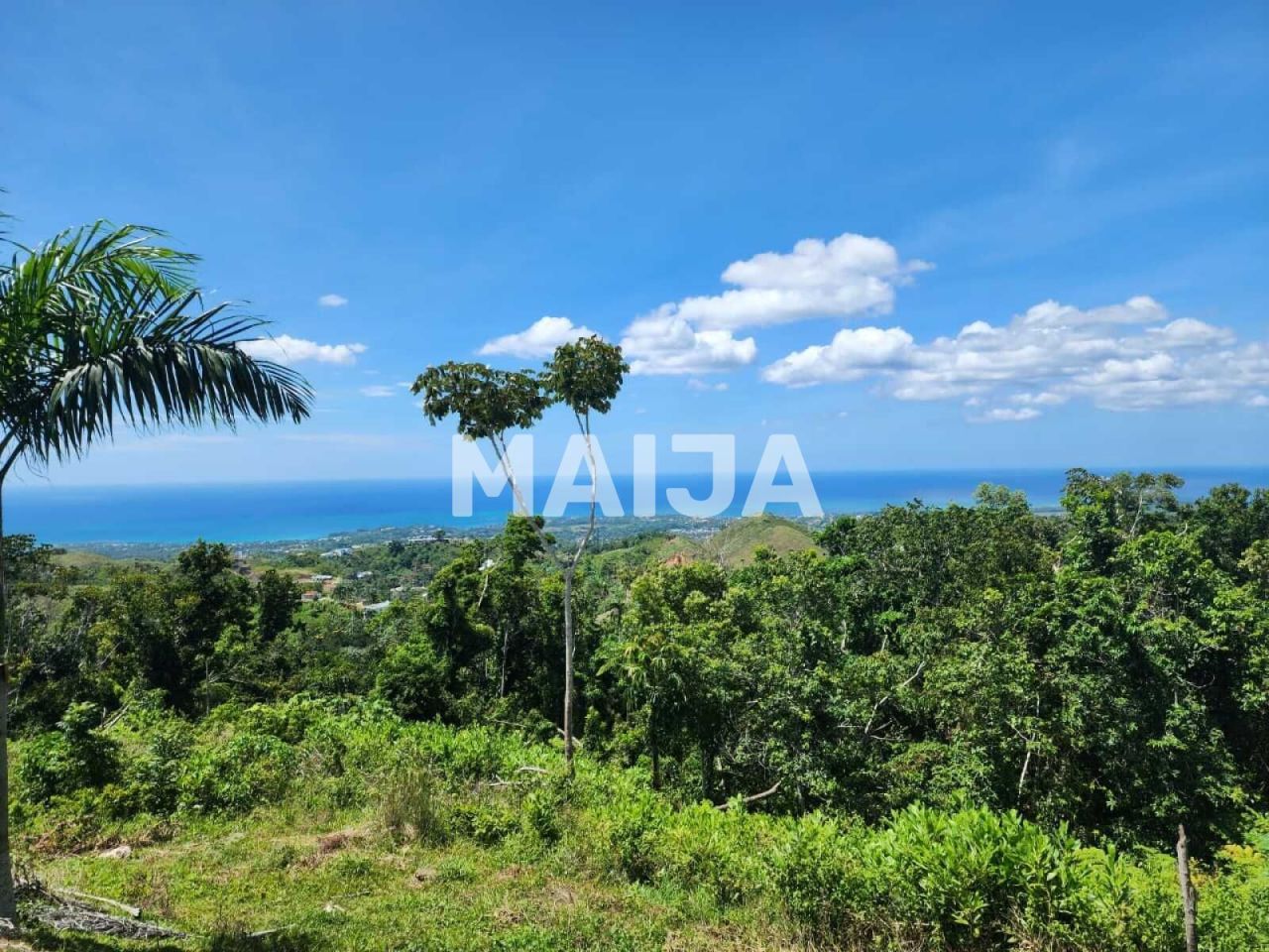 Terreno a Las Terrenas, Repubblica Dominicana, 3 341.1 m2 - foto 5