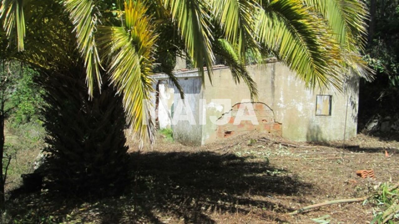 Land Açor, Portugal, 16 440 m² - picture 4