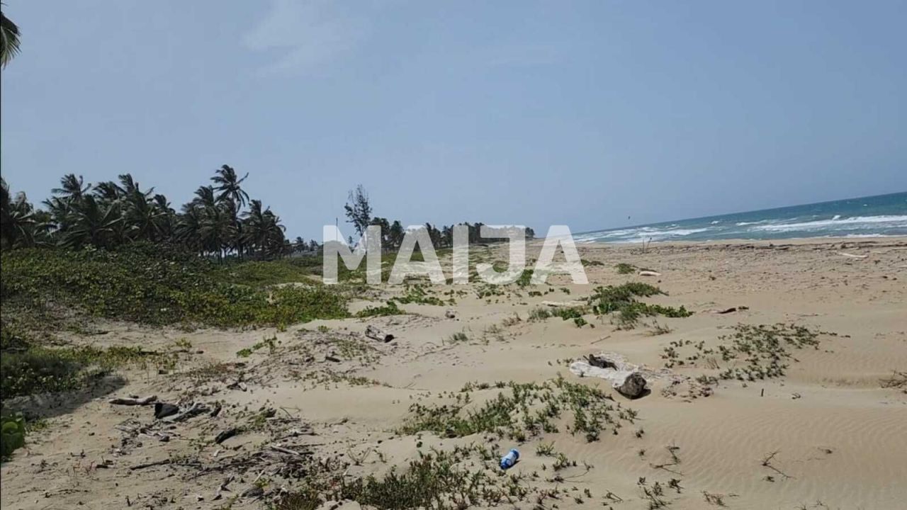 Land in Cabarete, Dominican Republic, 8 069 m² - picture 5