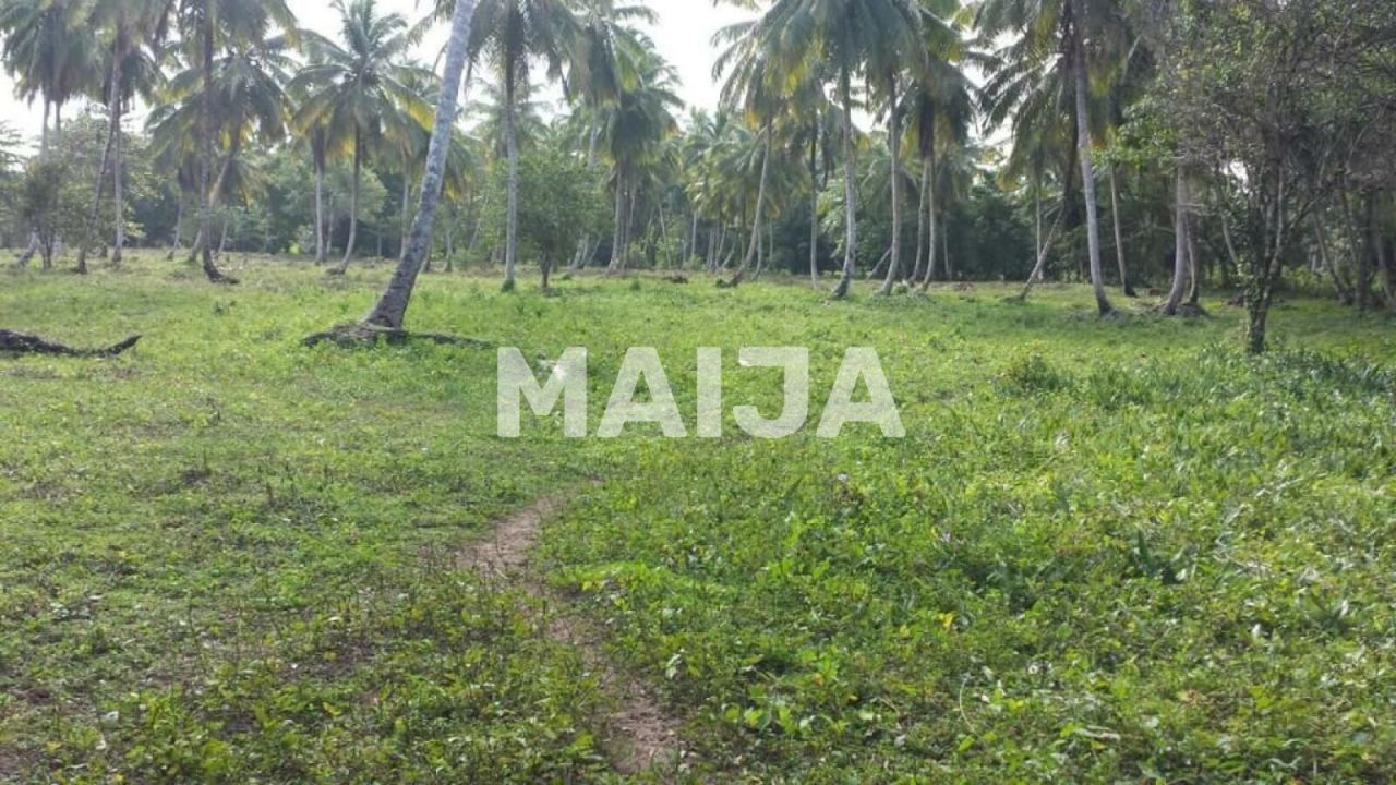 Terreno en Miches, República Dominicana, 39 000 m² - imagen 5