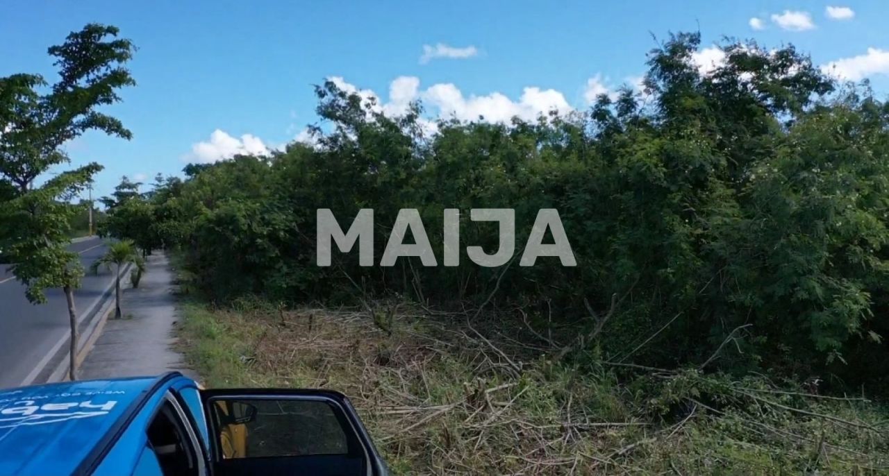 Land in Punta Cana, Dominican Republic, 57 345.74 m² - picture 6