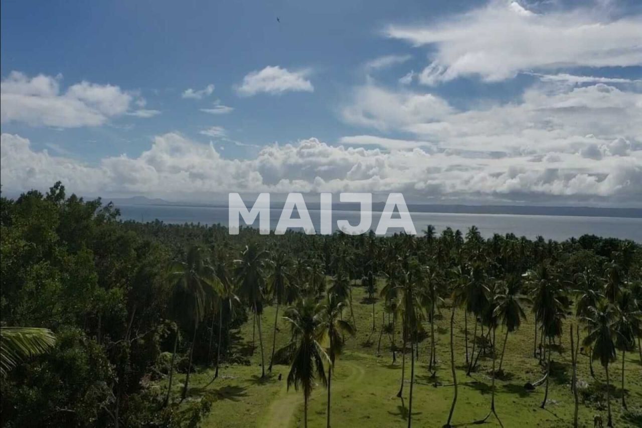 Land in Samana, Dominican Republic, 140 200 m² - picture 5