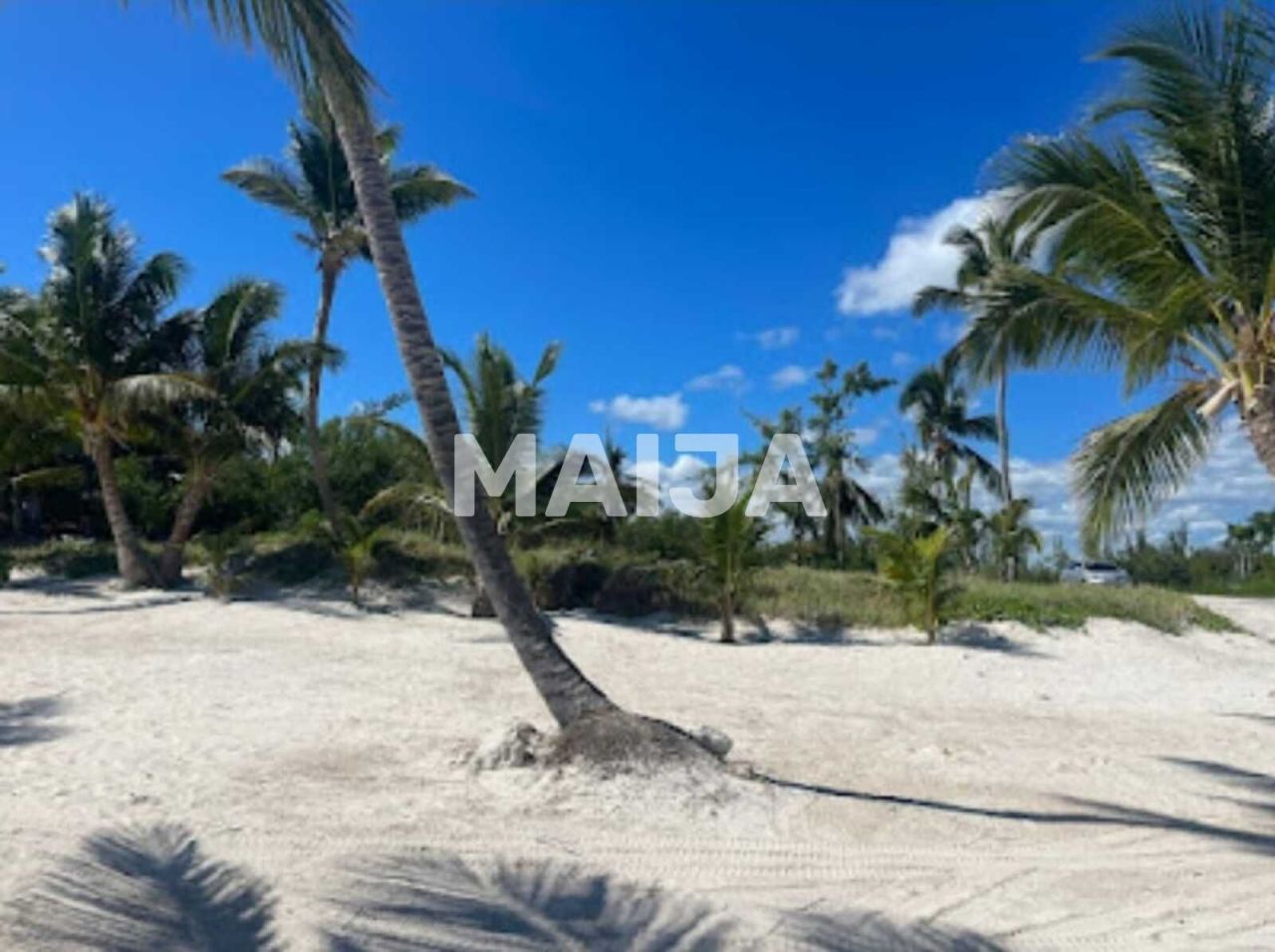 Terrain à Cap Cana, République dominicaine, 7 155.75 m² - image 6