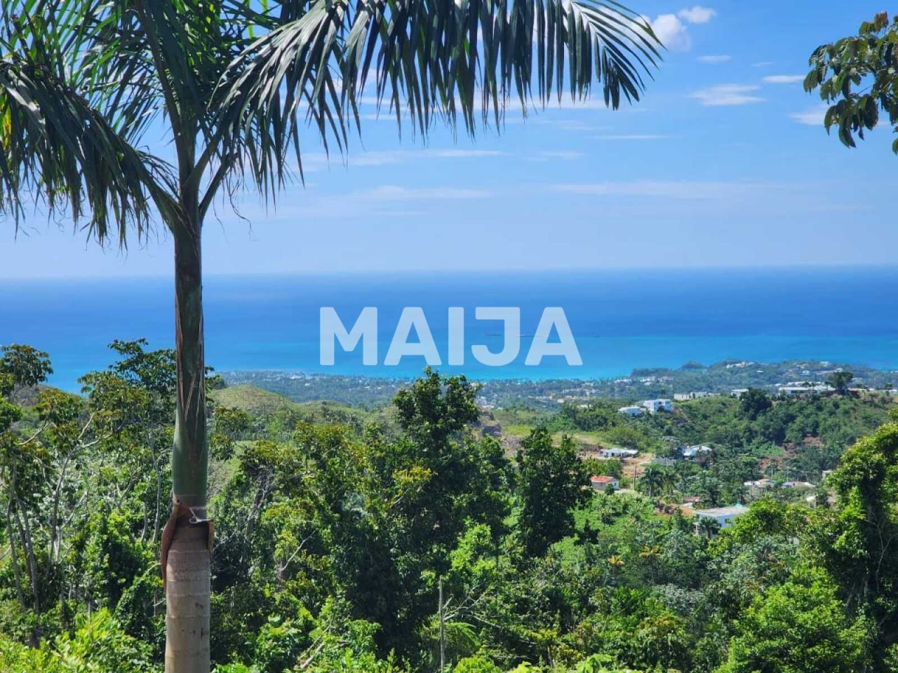 Terreno a Las Terrenas, Repubblica Dominicana, 3 341.1 m2 - foto 6