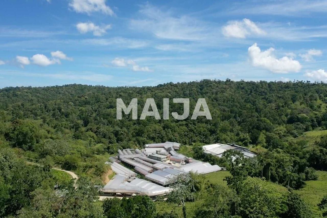 Industrial en Gaspar Hernández, República Dominicana, 4 340 000 m² - imagen 7