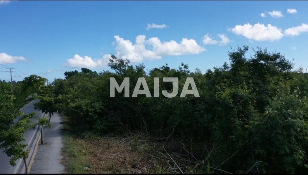 Land in Punta Cana, Dominican Republic, 57 345.74 m² - picture 7