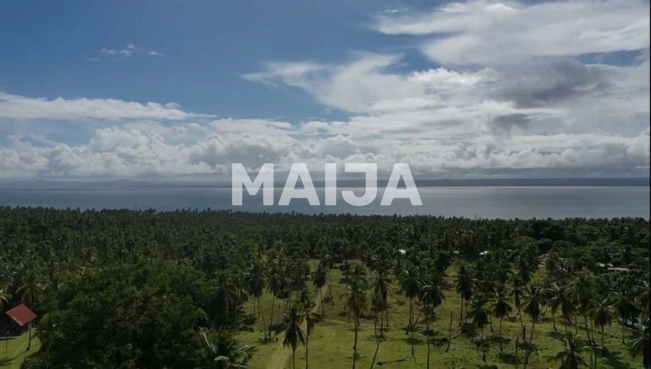 Land in Samana, Dominican Republic, 140 200 m² - picture 6