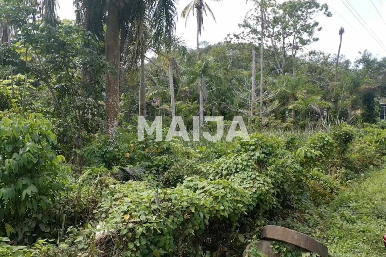 Terrain à Las Terrenas, République dominicaine, 10 000 m² - image 7