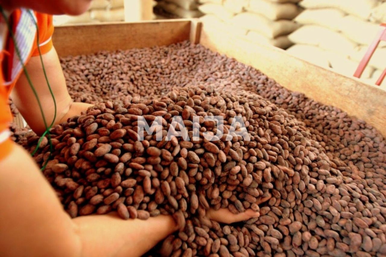 Industrial en Gaspar Hernández, República Dominicana, 4 340 000 m² - imagen 8