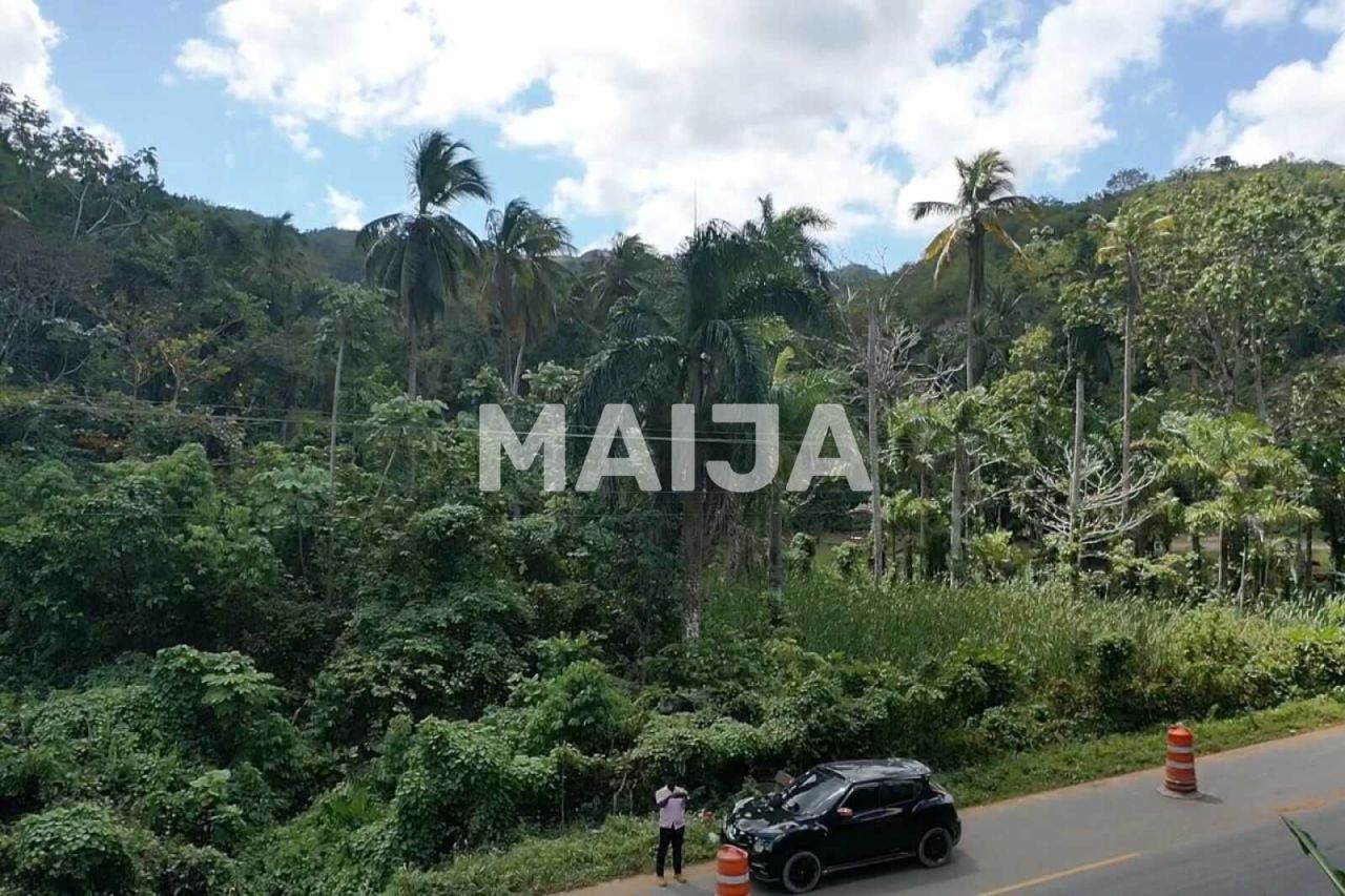 Terrain à Las Terrenas, République dominicaine, 10 000 m² - image 8