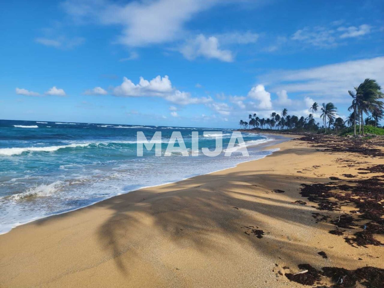 Land El Cedro, Dominican Republic, 5 630 m² - picture 8