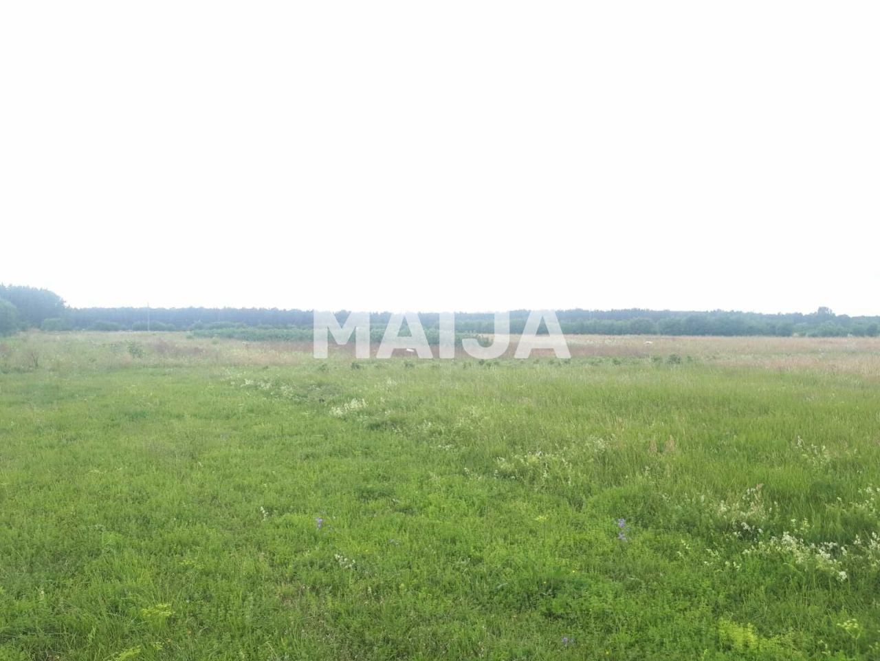 Terreno a Jaunmarupe, Lettonia - foto 8