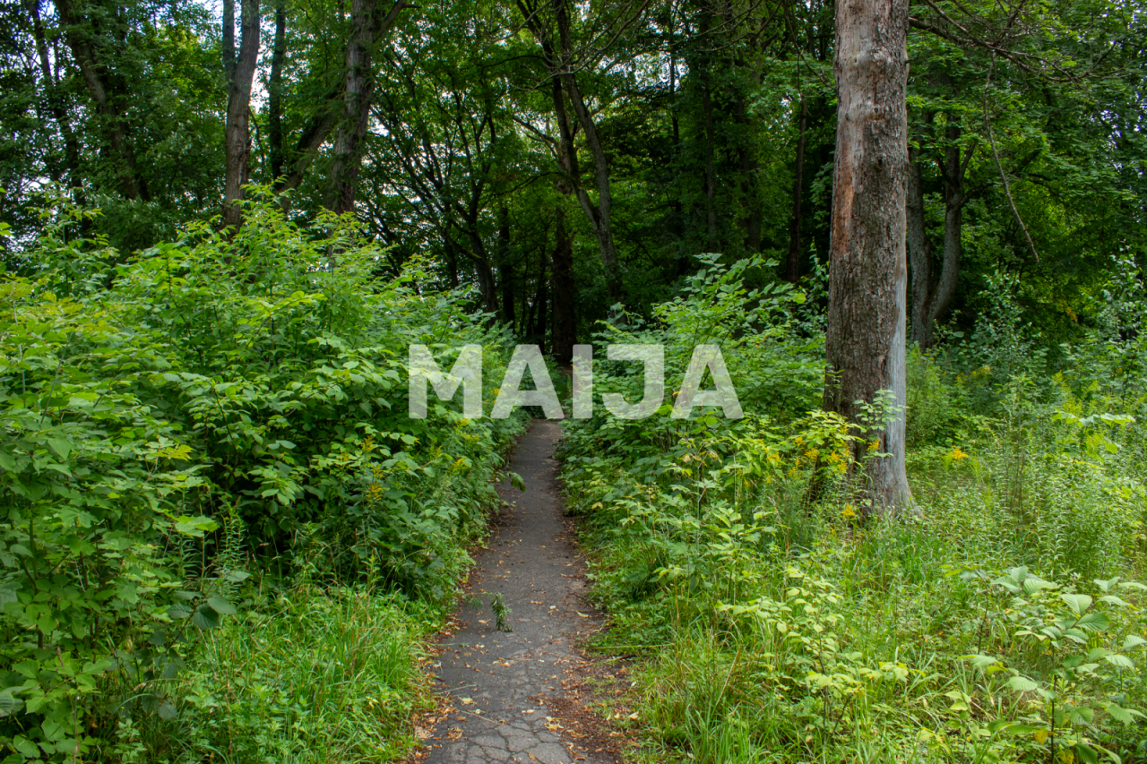 Terrain à Riga, Lettonie, 10 642 m² - image 8