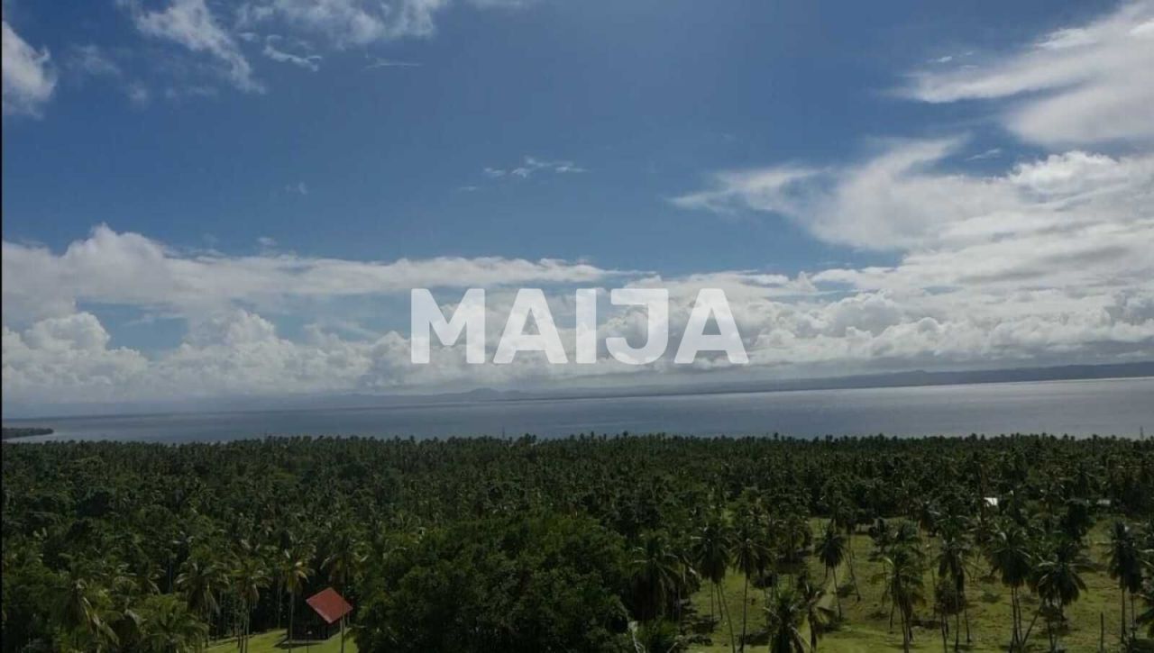 Land in Samana, Dominican Republic, 140 200 m² - picture 8