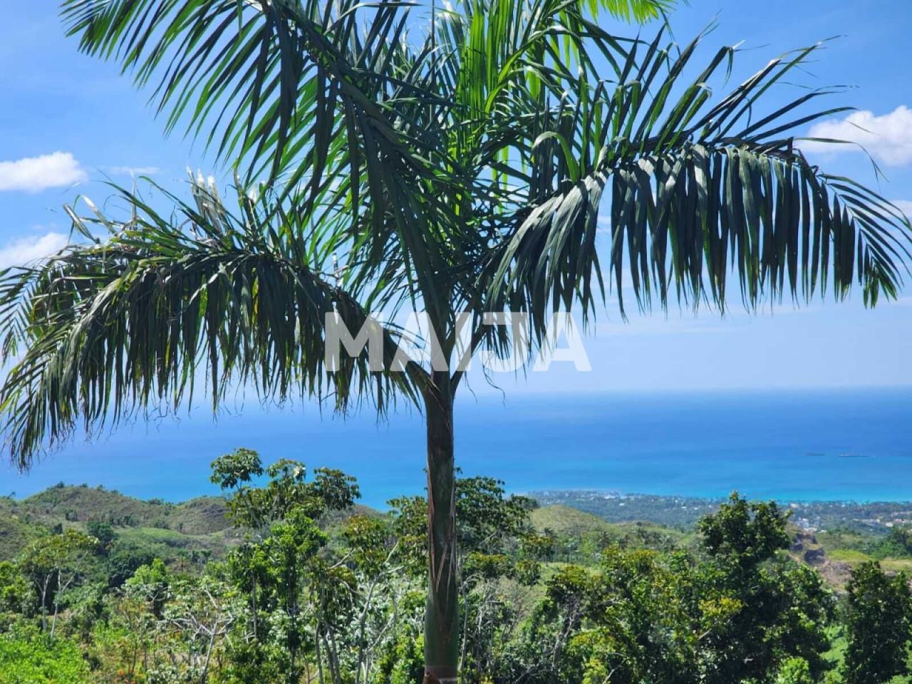 Terreno a Las Terrenas, Repubblica Dominicana, 3 341.1 m2 - foto 9