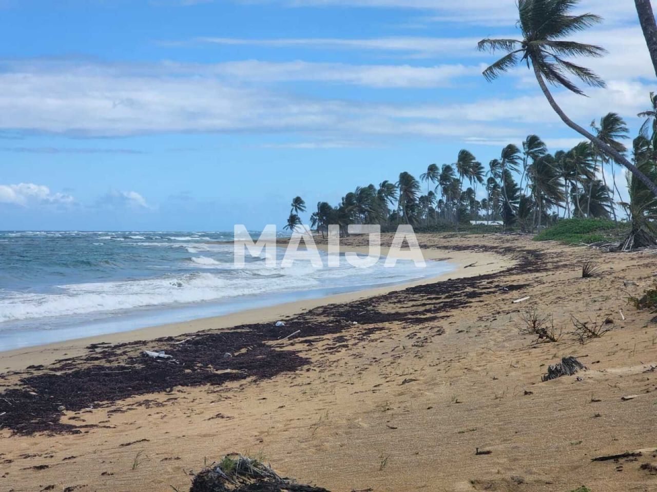 Land El Cedro, Dominican Republic, 5 630 m² - picture 9