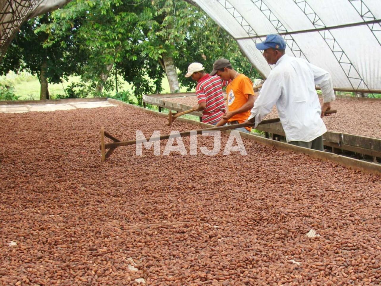 Industrial en Gaspar Hernández, República Dominicana, 4 340 000 m² - imagen 10