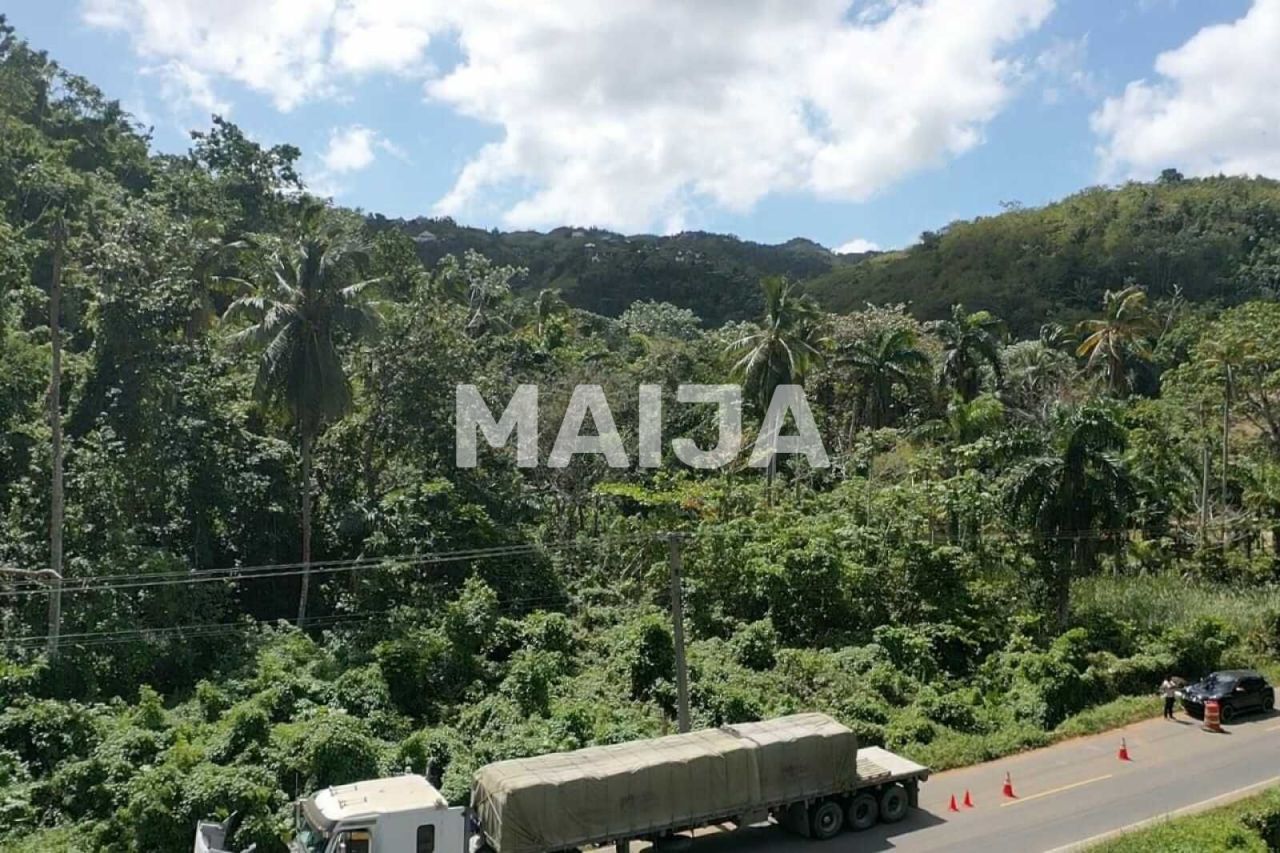 Terrain à Las Terrenas, République dominicaine, 10 000 m² - image 10